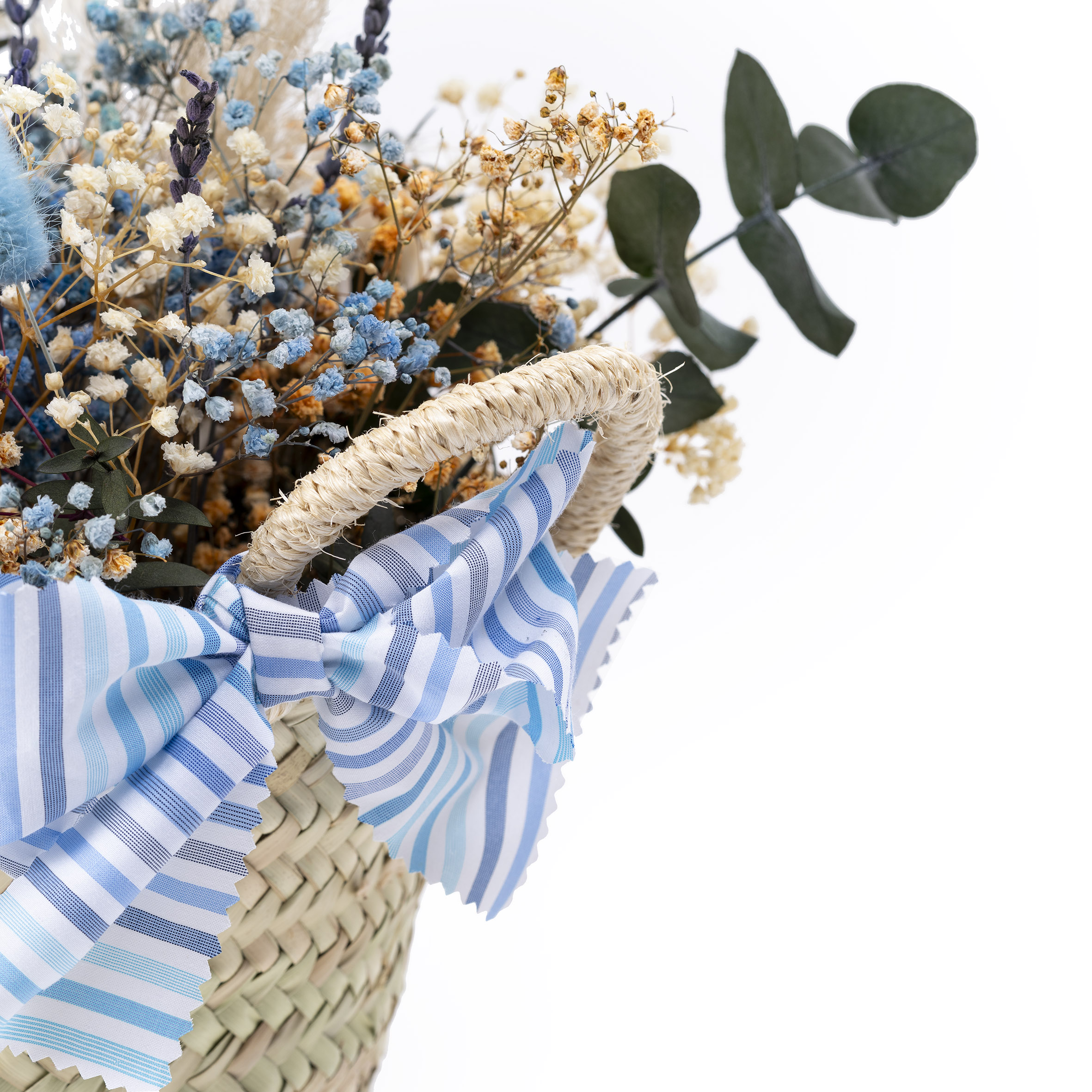 20250604-BeniVibe-002-CUADRADA 20250604-BeniVibe-002-CUADRADA