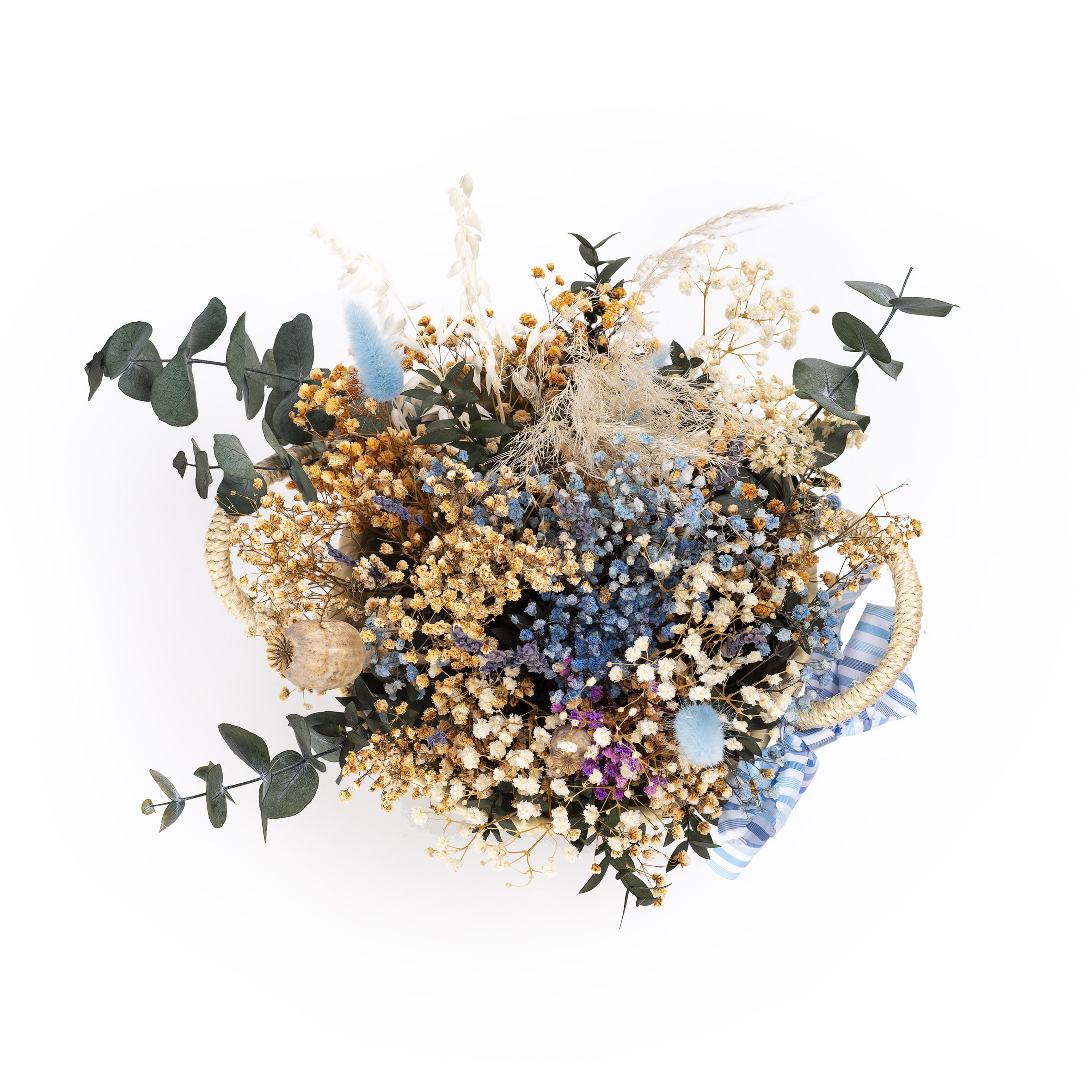 20250604-BeniVibe-003-CUADRADA 20250604-BeniVibe-003-CUADRADA